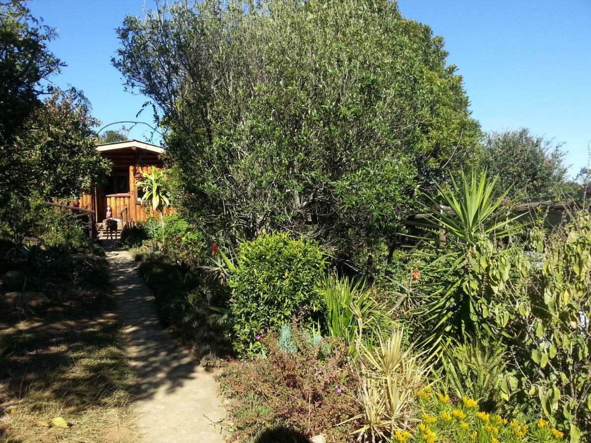 Veki'S Village Cottages Mbabane Exteriör bild